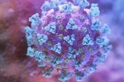重大研究！美發現超級抗體能對抗所有新冠病毒，連SARS也能治&#8230;