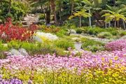 澳洲雪梨最美的18個秘密花園！感受大自然的魅力