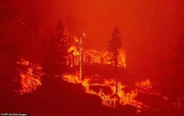 林間度假小屋在森林大火中熊熊燃燒