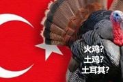 再見「土雞」！土耳其英文名將從Turkey改為Turkiye？