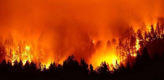 很多專家認為，大火是過度砍伐造成的