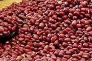 紅小豆高產種植技術詳解！