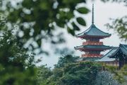 一間日本寺廟的 Instagram，能美出什麼境界？