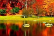如何讓秋景攝影更具創意？拍攝樹木倒影，讓畫面翻倍美麗