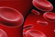 首個人類造血幹細胞發育「路線圖」發佈！Nature 最新研究助力造血幹細胞體外培育