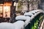 2022東京初雪，這個近45年來最冷的冬天，美翻了