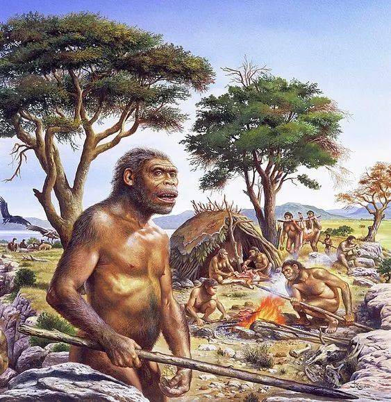 人類開始建立部落——人類文明正在出現