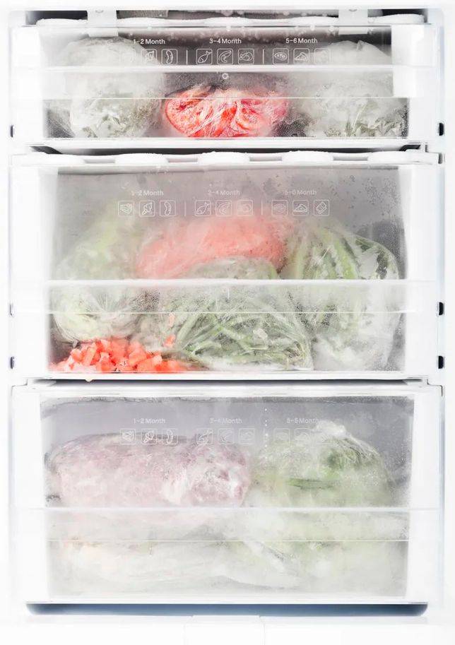 傳統的食品冷凍保存
