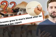 美國男子注射蘑菇後器官衰竭，蘑菇在體內吸血繁殖