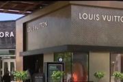 加州灣區竊賊猖獗：11人席捲LV店偷走10w包包，三藩市中心豪車被砸！