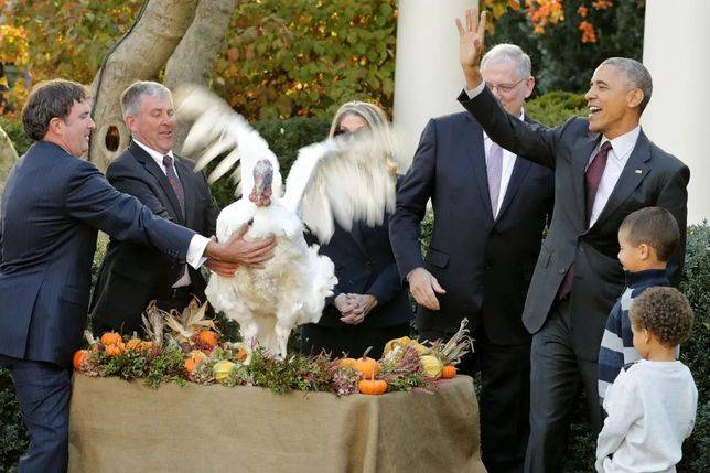 吃「turkey」成美國感恩節的儀式