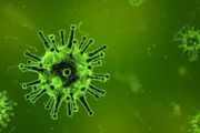 感染新冠病毒，對腎臟有什麼影響？