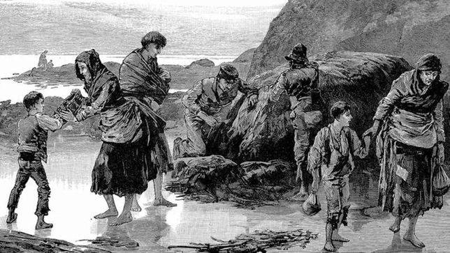 ◆ 大饑荒時悽慘的愛爾蘭人