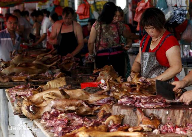 在巨大的市場需求下，狗肉產業應運而生