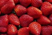 美國沃爾瑪的這款草莓可能造成甲肝，請立即扔掉