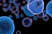 Nature：癌症疫苗新突破！調動 T 細胞與 NK 細胞的雙重攻擊，全面殺滅癌細胞