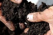 種過植物的舊土變成肥土，這幾點要處理好，否則後患很多