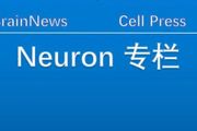 Neuron：大腦有這樣一群神經元，調控幼兒 哭泣、發聲和呼吸節律，命名為iRO