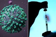 最新研究：接種新冠疫苗後又感染的人，會獲得「超級免疫力」