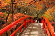日本人氣前十的紅葉，竟然在這些地方？！