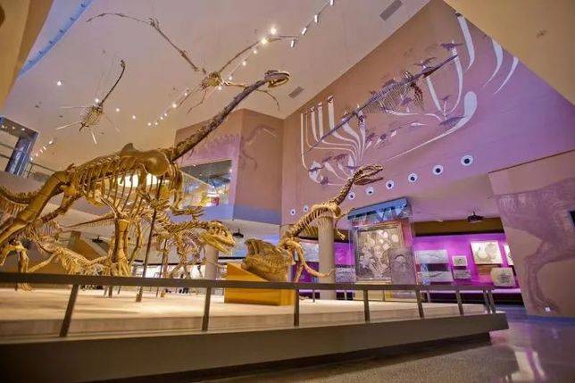 上海自然博物館B1層恐龍盛世展項群