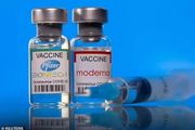 輝瑞嬰幼兒新冠疫苗推遲申請！歐盟調查其導致女性月經不調副作用