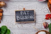 脂肪燃燒的指令從哪裡來？Nature 揭示神經免疫互作如何與內臟脂肪「擦出火花」