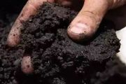 土壤有機質的13大作用！土壤沒了肥力種啥都不行