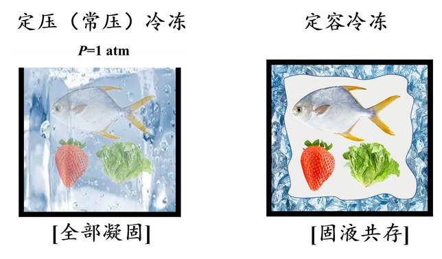 左：傳統定壓冷凍保存；右：定容冷凍保存