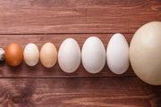 雞蛋、鴨蛋、鵪鶉蛋，哪種更有營養？怎麼選？還不知道的虧大了