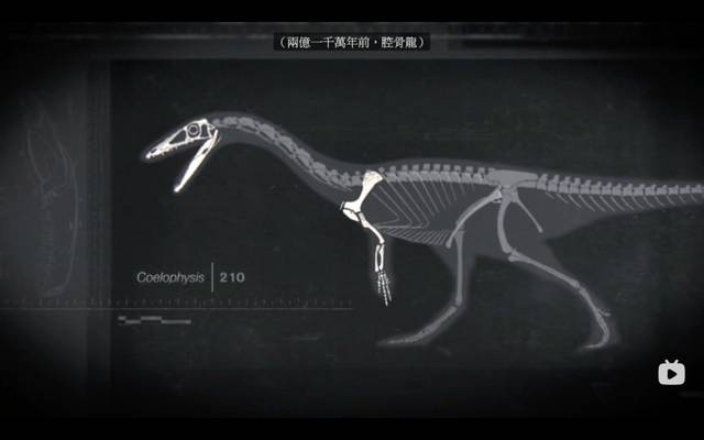 就比如恐龍看似短小雞肋的前爪