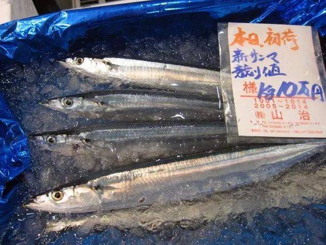 日本鮮秋刀魚有點貴 咱能吃點國產貨不 Vito雜誌