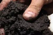 每畝用多少有機肥，土壤有機質才能增加1%，準確資料來了！