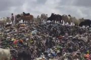 每週1500萬件歐洲舊衣待處理！非洲海灘成法國人的垃圾場？