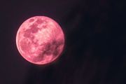 今年復活節最大的驚喜！粉紅色的月亮高掛夜空，週六起可見