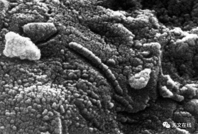 隕石中細菌的可能化石殘留