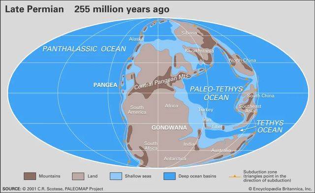「泛大陸」Pangea在二疊-早三疊期間形成