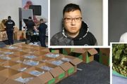 加州兩名華裔男子，運送近1000磅大麻途徑阿拉巴馬州被抓，恐面臨最低15年刑期