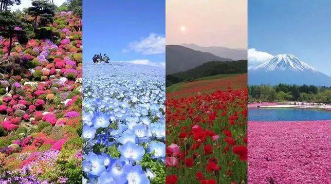 在日本，4月不僅是春暖花開的月份，