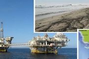 突發！南加州海面重大原油洩漏事故，魚鳥死亡，多個海灘關閉、航展緊急取消……
