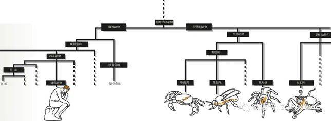 無脊椎 但不缺心眼 Vito雜誌